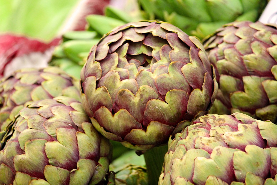 Artichoke What Does it Mean to Dream about Artichokes? Dream Glossary
