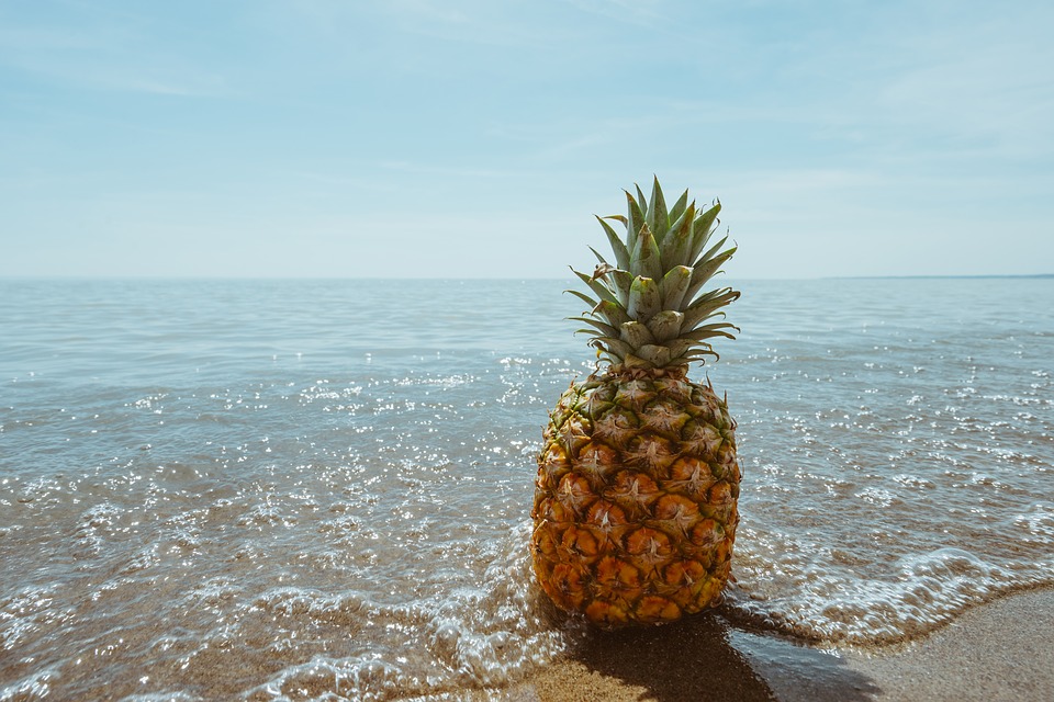 Pineapple Dream Meaning And Interpretation Dream Glossary And Dictionary