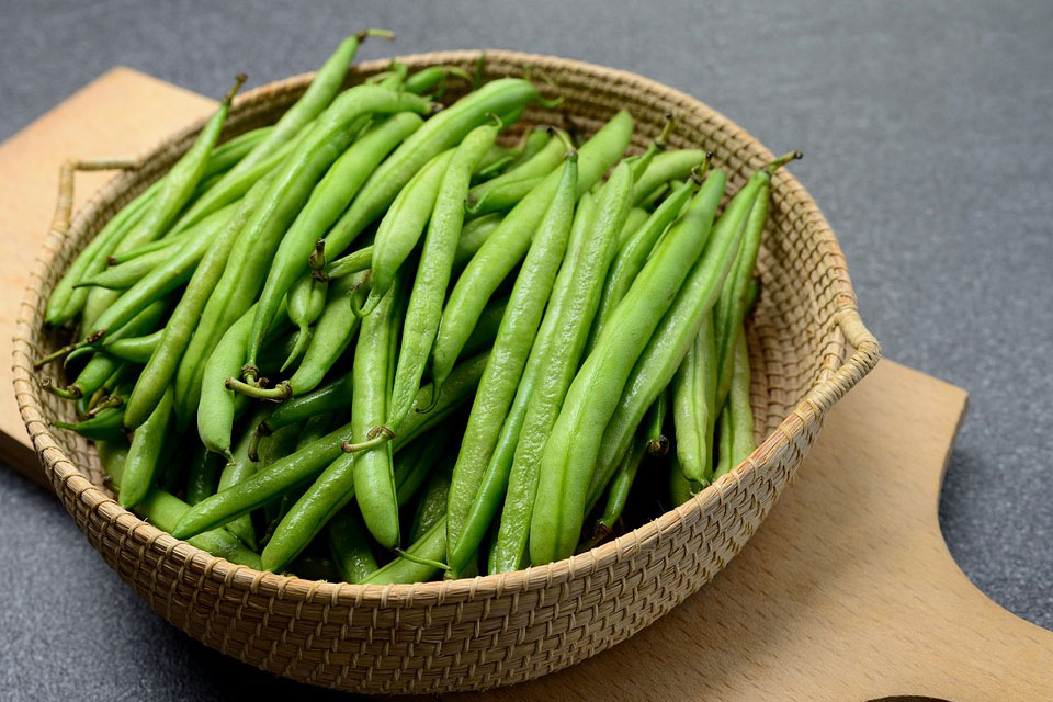Green Beans Dream Meaning and Interpretation Dream Glossary
