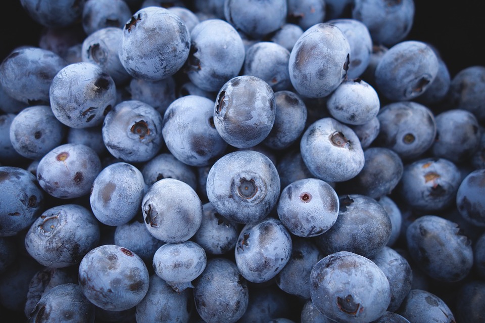 Blueberries Dream Meaning and Interpretation Dream Glossary