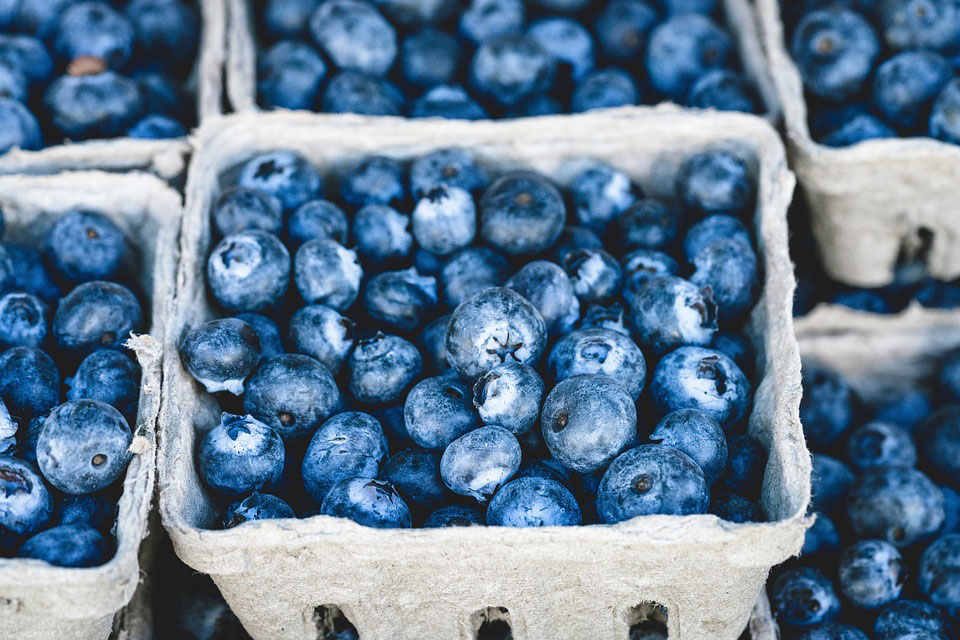 Blueberries Dream Meaning and Interpretation Dream Glossary