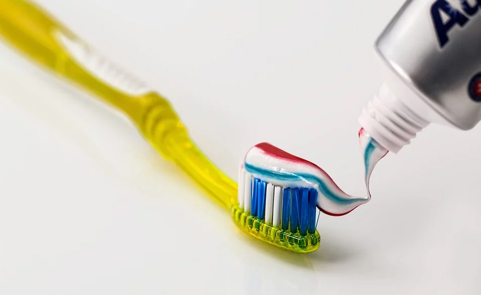 toothbrush means