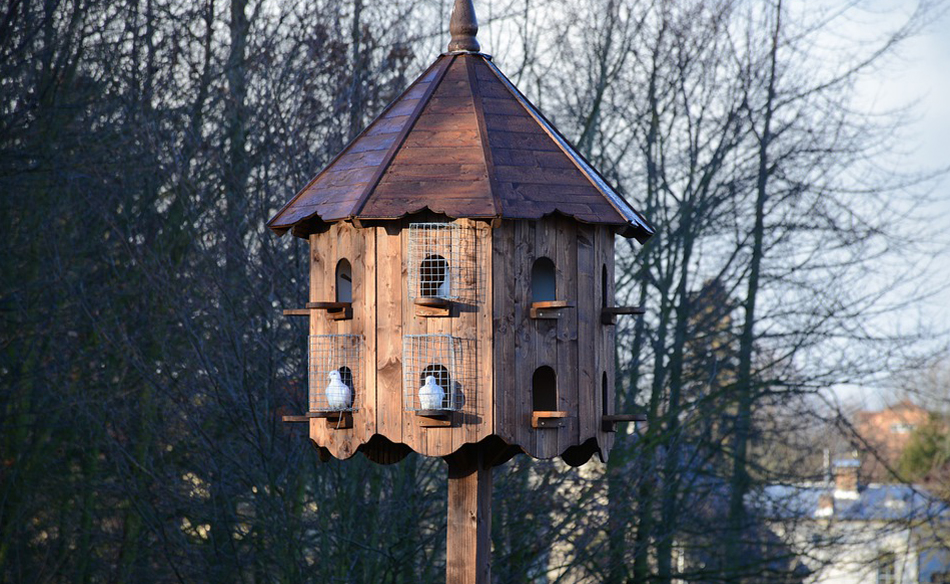 What Does It Mean to Dream of a Dovecote? Dream Glossary