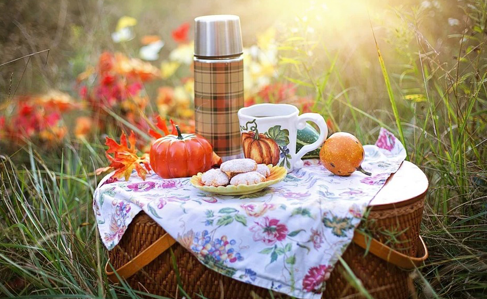 What Does It Mean to Dream of a Picnic? Dream Glossary
