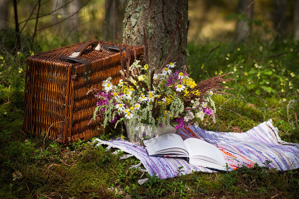 What Does It Mean to Dream of a Picnic? Dream Glossary