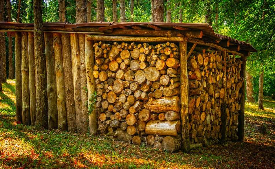 Firewood in a Dream Meaning and Symbolism Dream Glossary