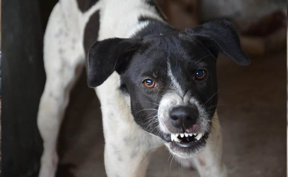 Being Angry in a Dream Meaning and Symbolism Dream Glossary