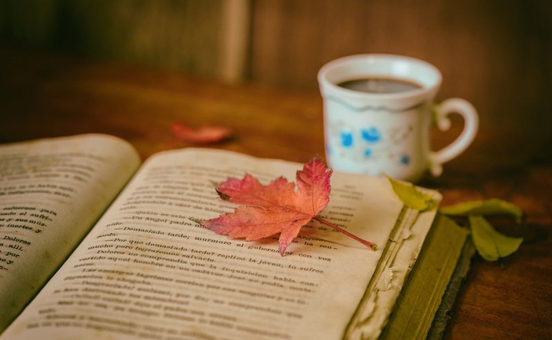 Book and coffee in a dream