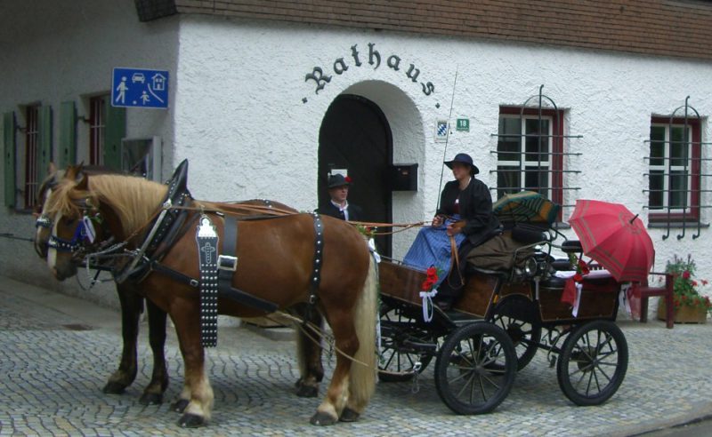 Coachman and tourists