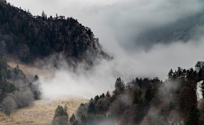 Fog in the valley