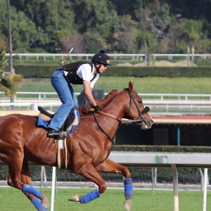 Jockey riding a horse