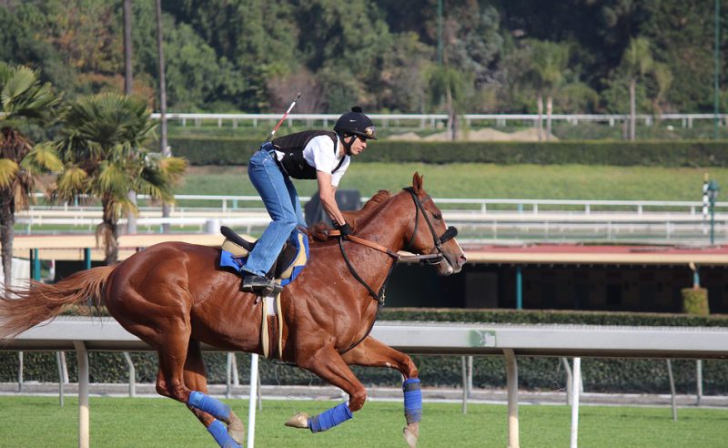 Jockey riding a horse