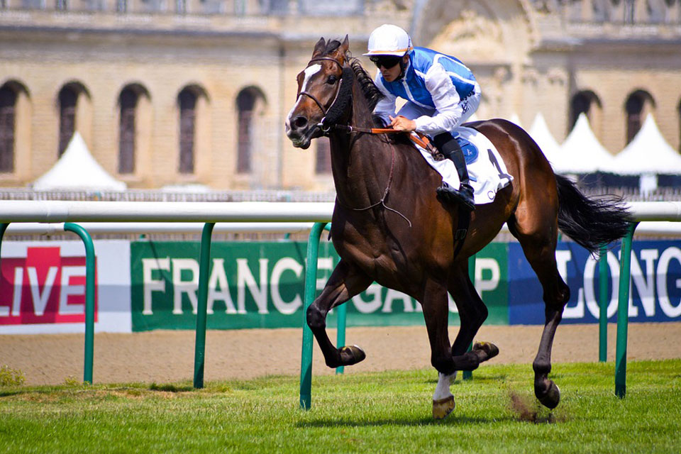 What Does It Mean to Dream of a Jockey? Dream Glossary