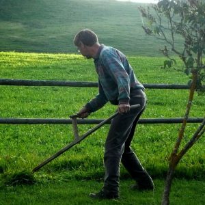 Guy using scythe in the field
