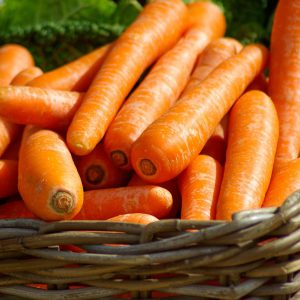 Basket full of carrots