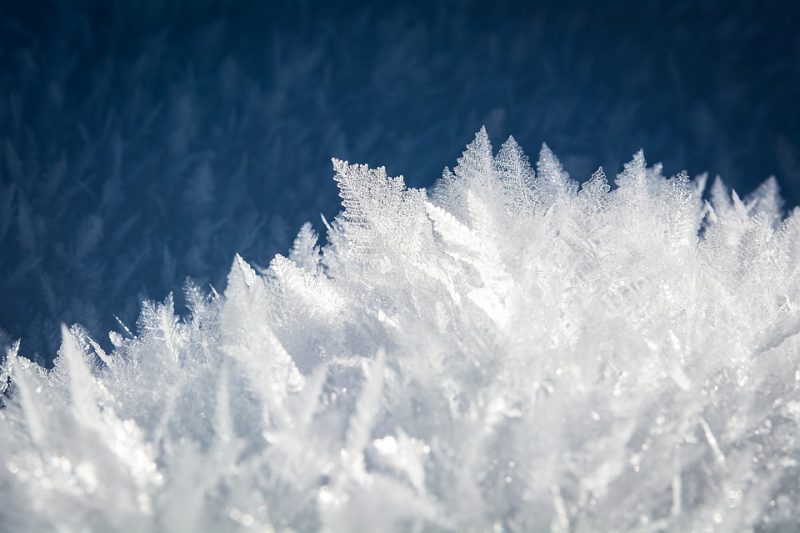 Frost covered grass