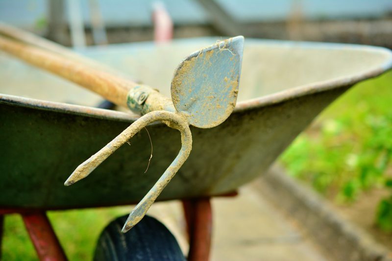 Garden hoe upclose