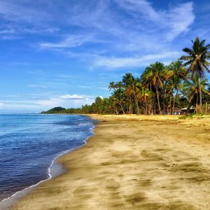 Tropical beach with green palms