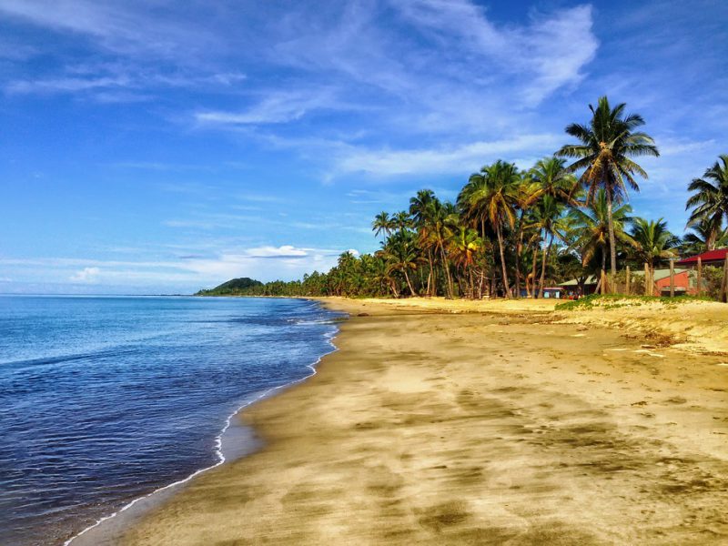 Tropical beach with green palms