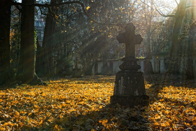 Old tombstone in a park