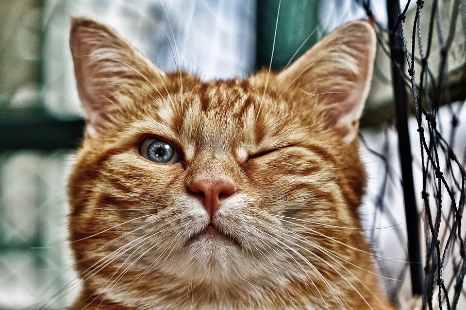 Winking in a Dream - Meaning and Symbolism | Dream Glossary