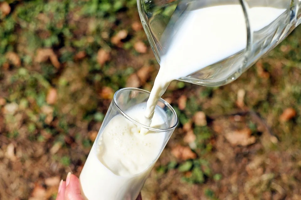 Someone pours milk from a jug into a glass