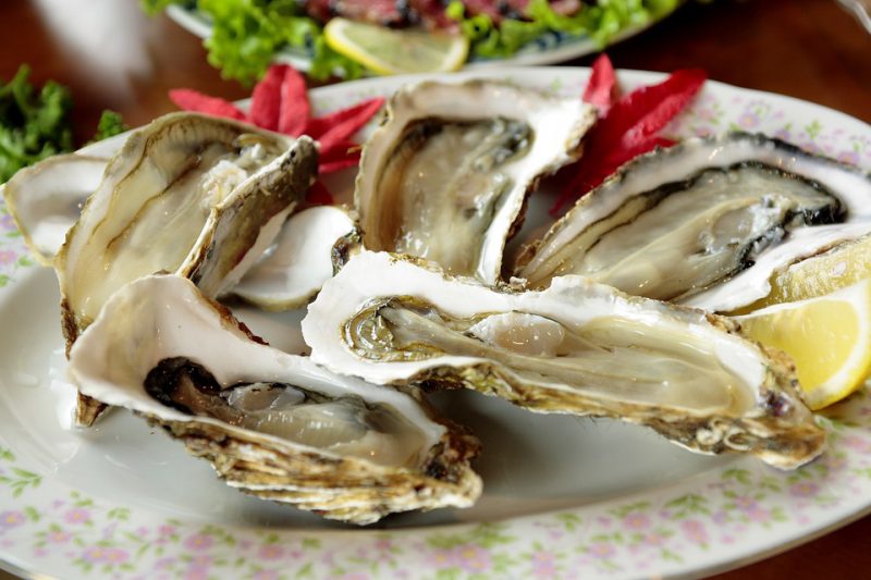 Oysters on a plate