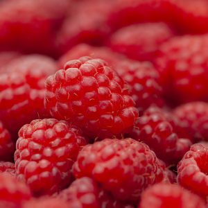 Fresh raspberries