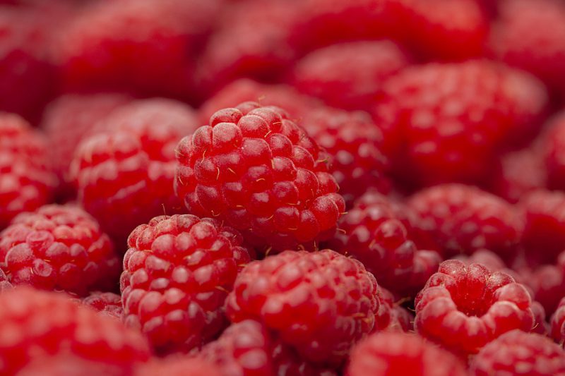 Fresh raspberries