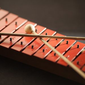 Xylophone instrument