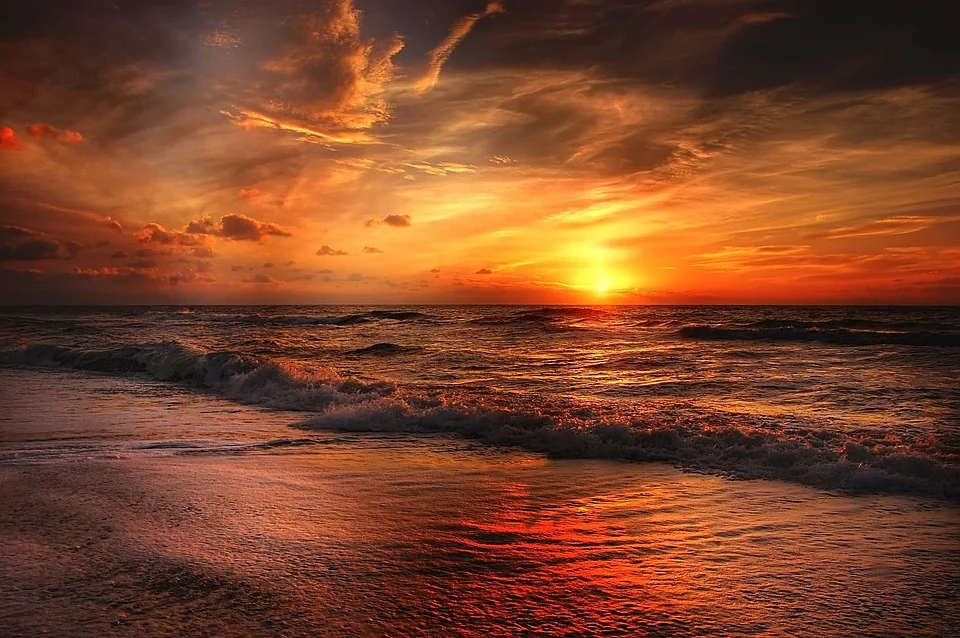 Sea coast at sunset