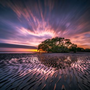 Low tide on the beach