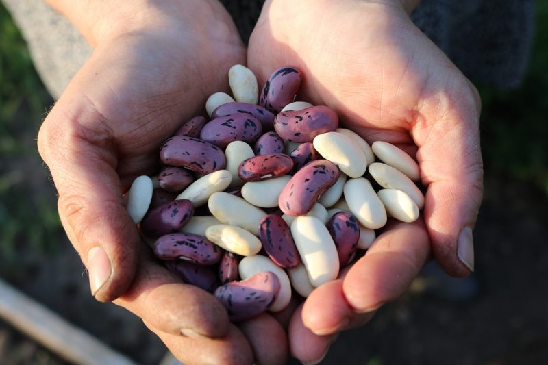 Handfuls of beans