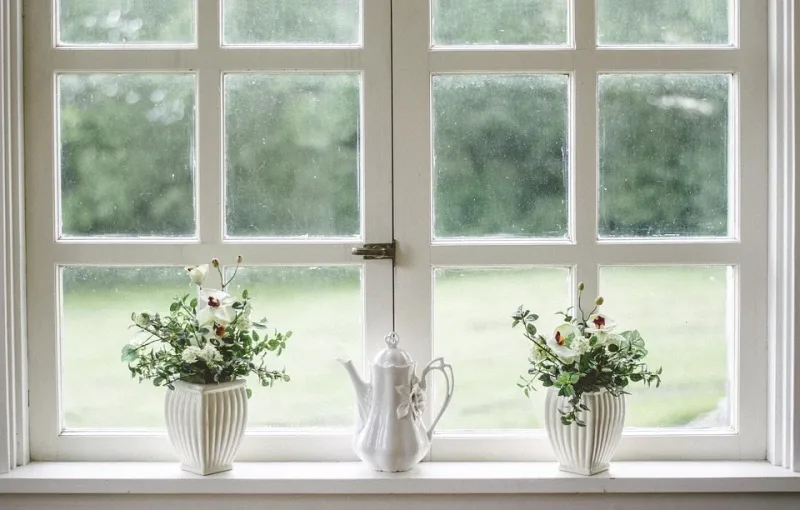 Flowers on the windowsill