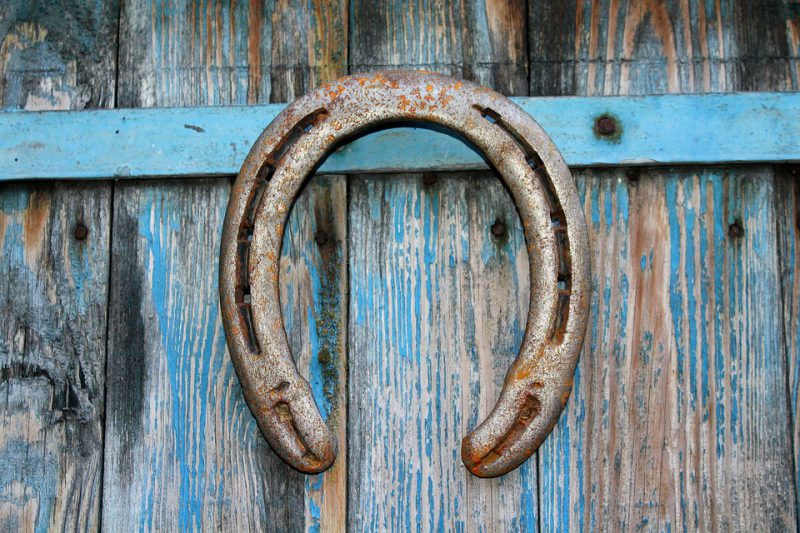 Hanging horseshoe