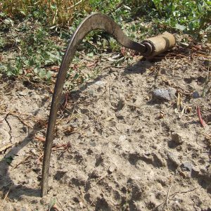 A sickle stuck in the ground