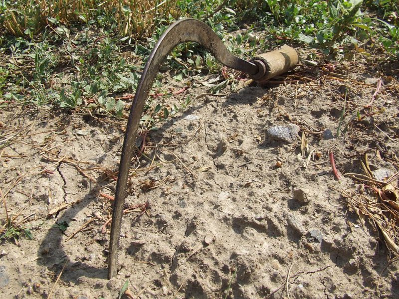 A sickle stuck in the ground