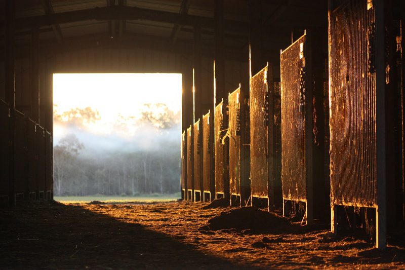 A horse stable in a dream