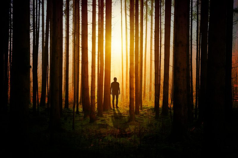 A man stands among the trees of the forest at sunset