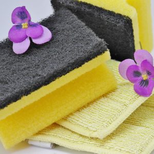 Sponge and cloth for dusting