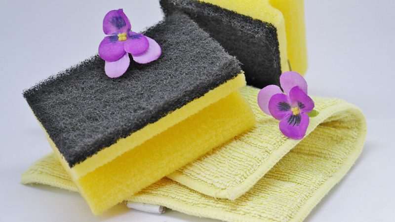 Sponge and cloth for dusting