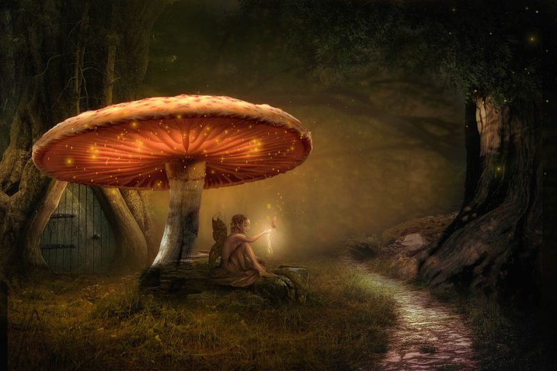 An image of a fantasy land with a small fairy under a giant shining mushroom