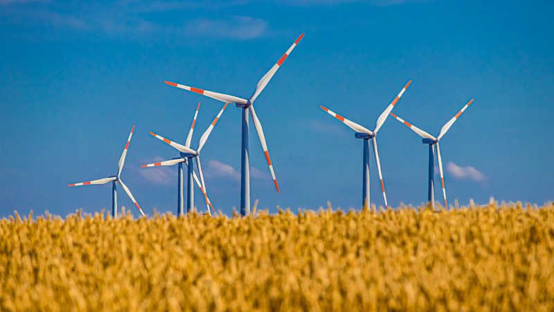 Wind turbine field