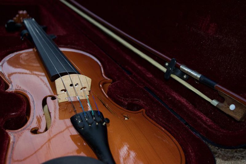 Violin placed in its case