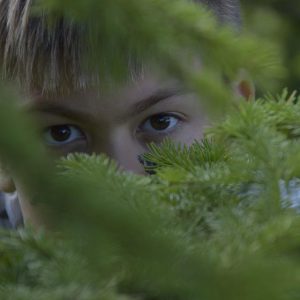 Person hidden in a bush is looking at something