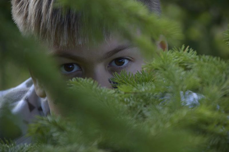 Person hidden in a bush is looking at something