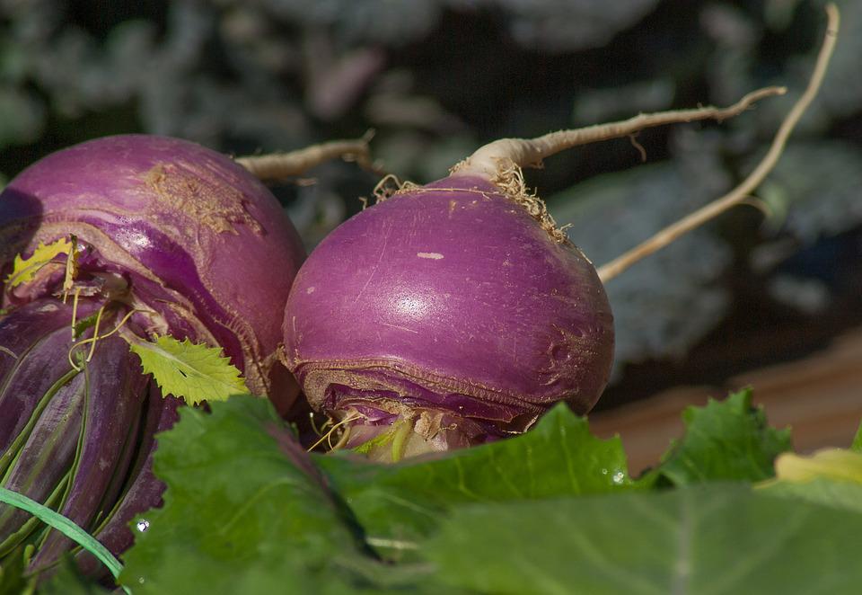 What Does It Mean to Dream of a Turnip? Dream Glossary