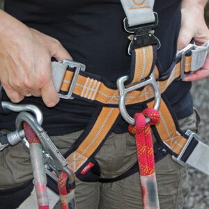 Dreaming about harness